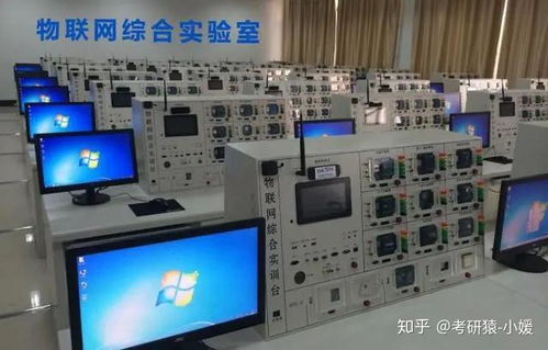 網(wǎng)絡(luò)技術(shù)服務(wù)領(lǐng)域 8個值得報考的計算機專業(yè)方向